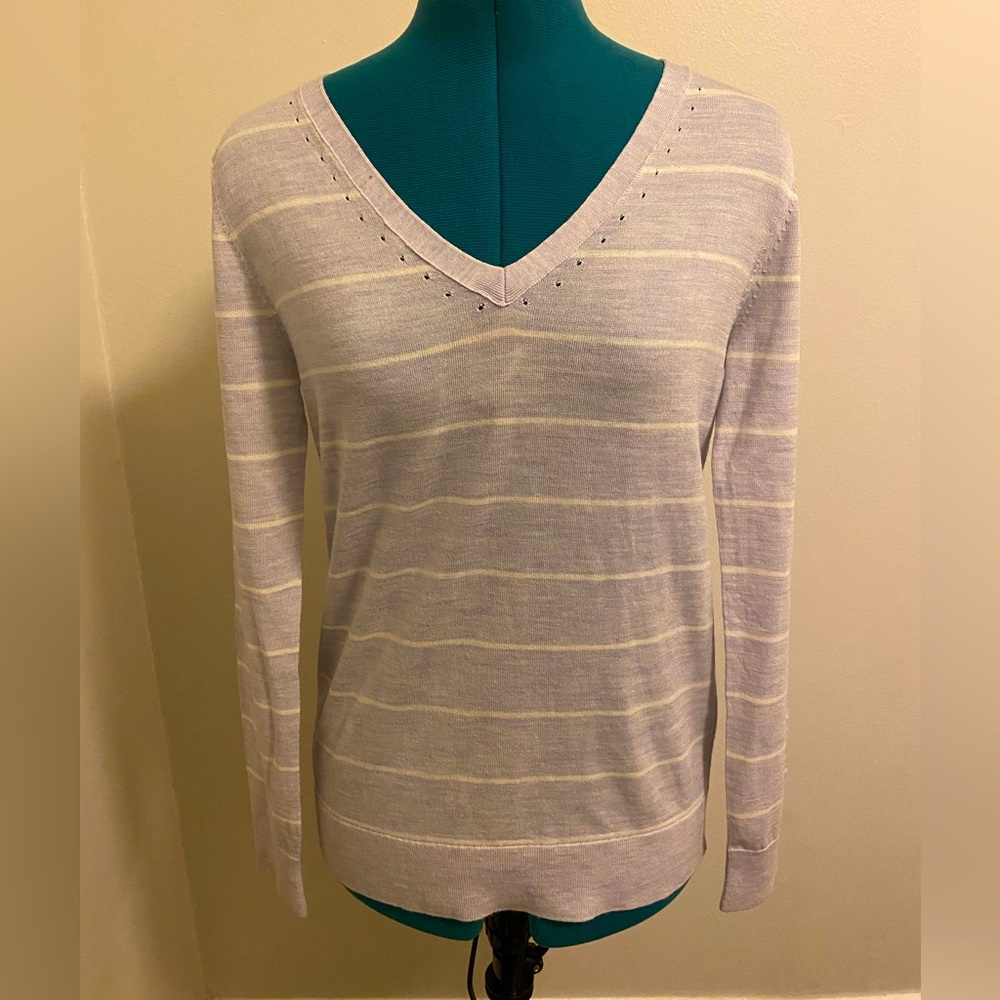 Banana Republic Striped Merino Wool Sweater